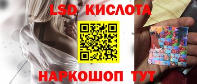 apvp Гатчина