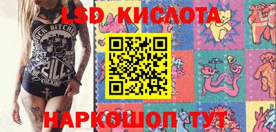 apvp Гатчина