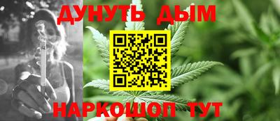 apvp Гатчина
