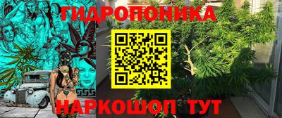 apvp Гатчина