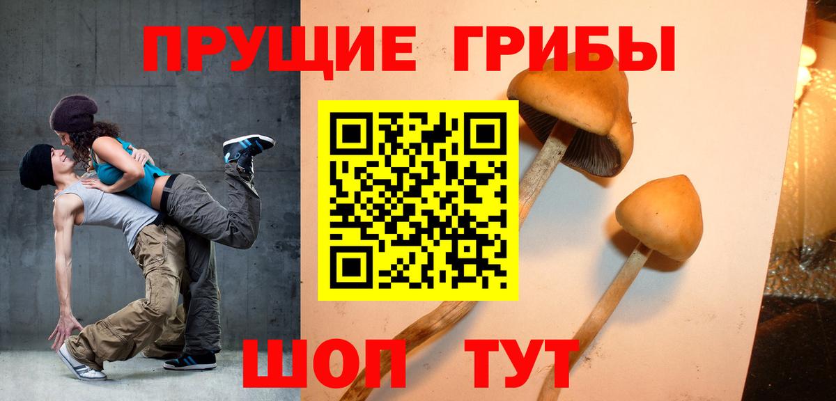 Галлюциногенные грибы Magic Shrooms Гагарин